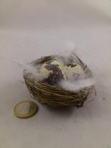 Nest with 3 quail eggs and feathers